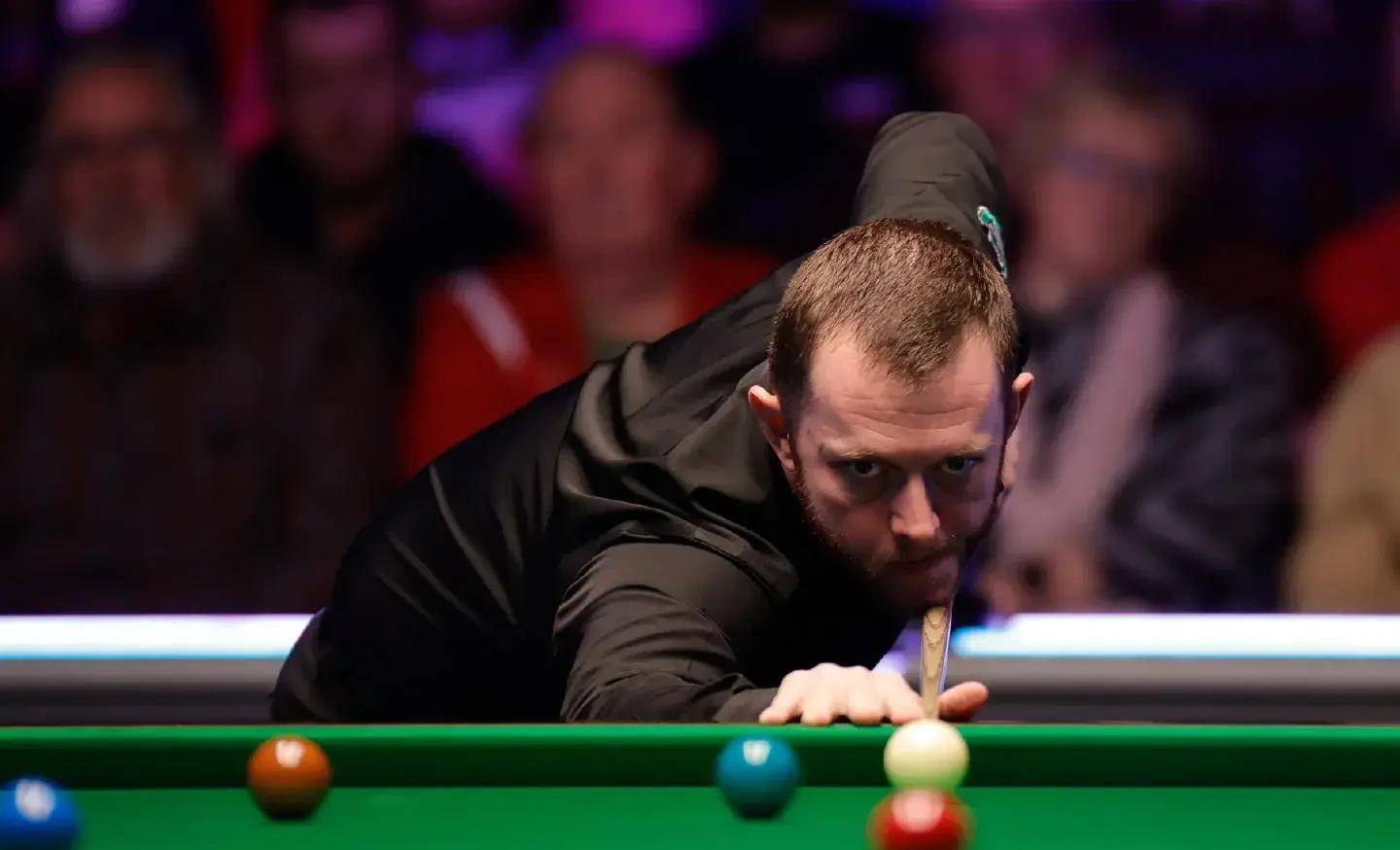 不仅是他们 不仅是他们